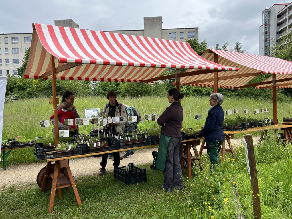 Wildpflanzenmarkt - Biotop Am Stausee, 13. Mai 2023 (© NVVB)