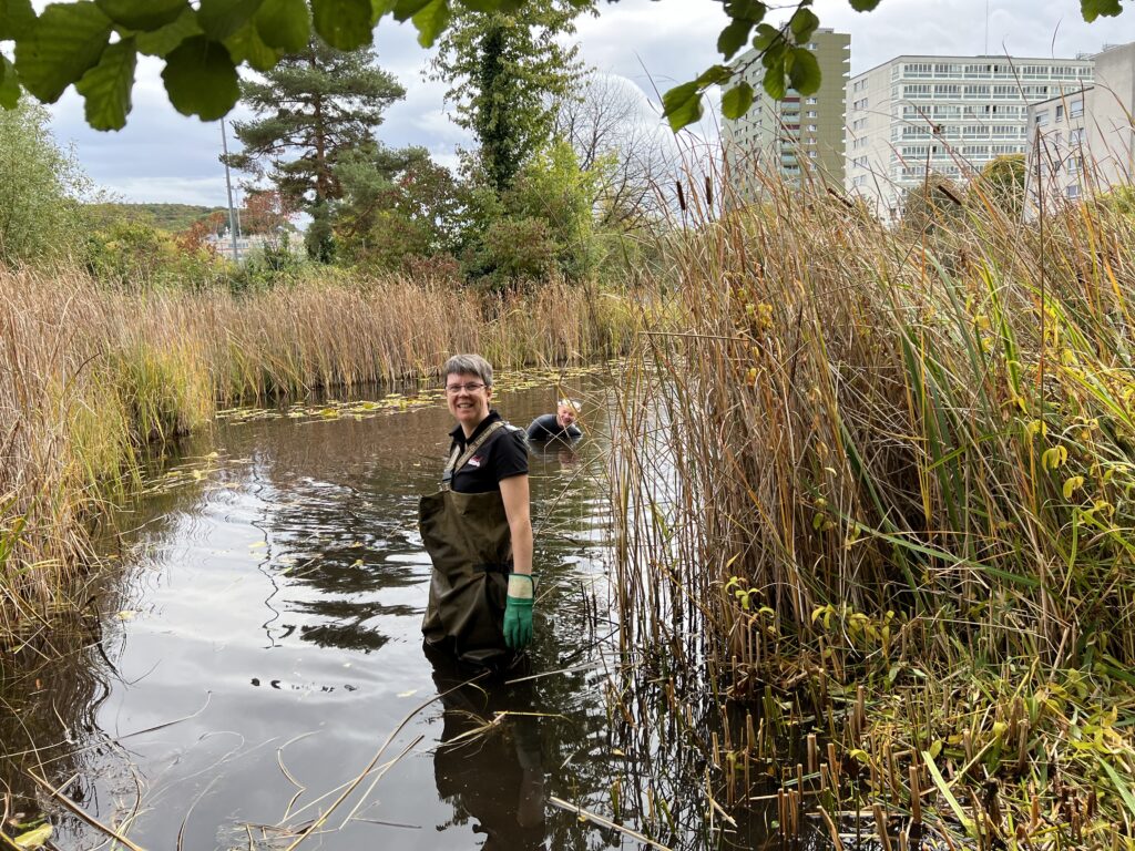 Naturschutztag Vorbereitung am Teich - Biotop Am Stausee, 21.Okt.2023 (© NVVB)
