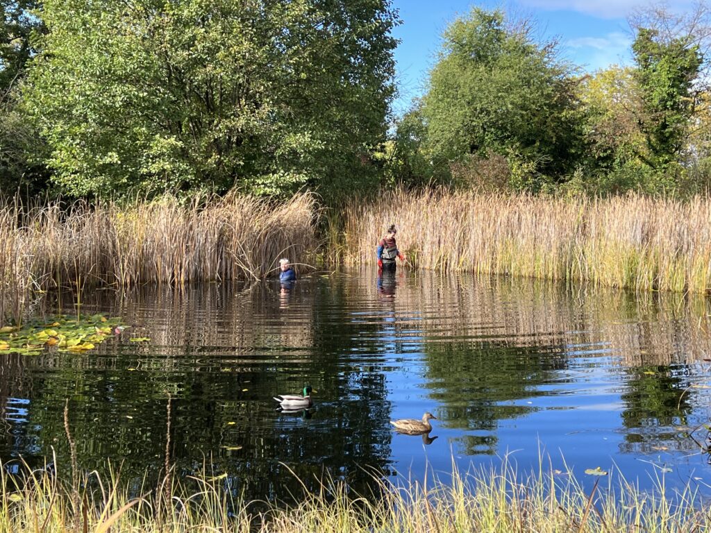 Naturschutztag Vorbereitung am Teich - Biotop Am Stausee, 27.Okt.2023 (© NVVB)