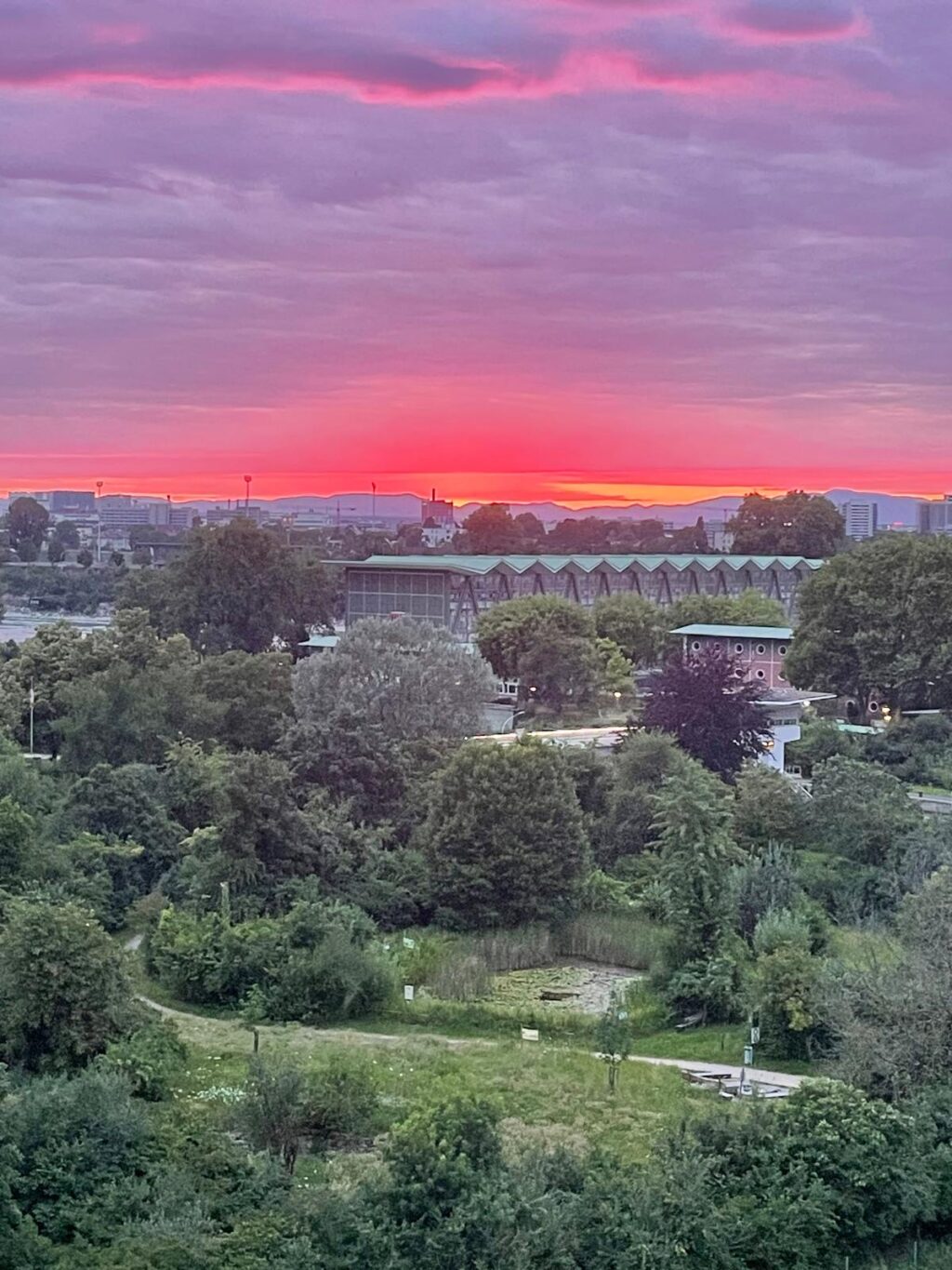 Wiese und Trockenmauer «Biotop Am Stausee»,14.Jul.2024 © NVVB