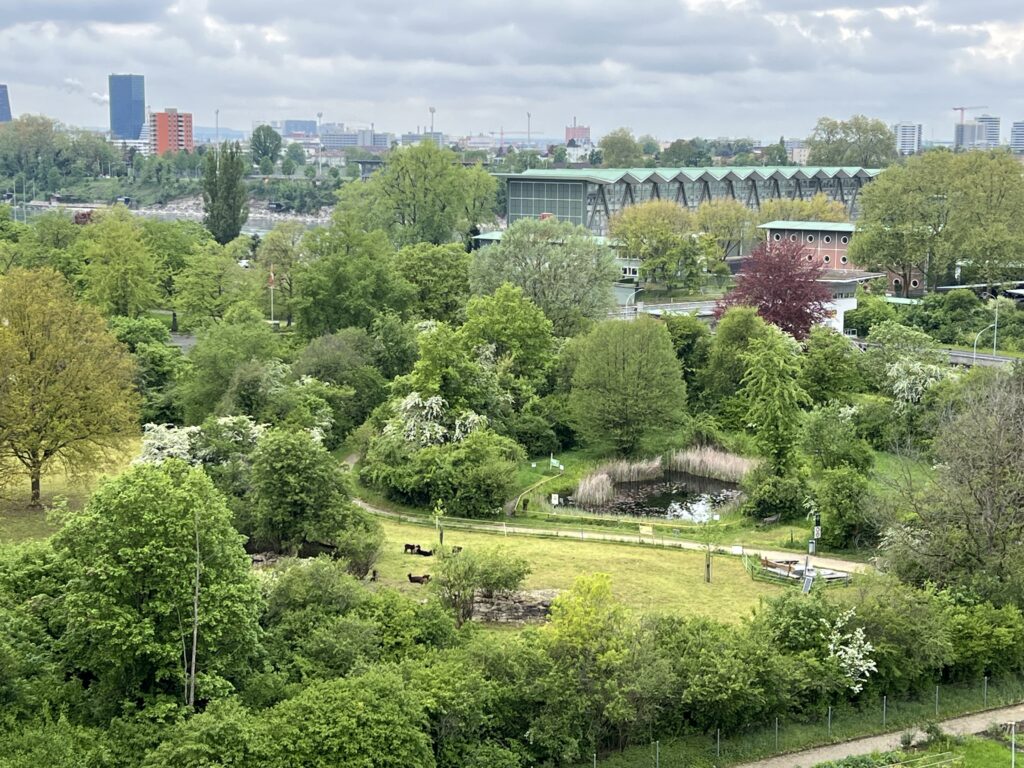 Frühjahrsbeweidung_Walliser Landschafte, «Biotop Am Stausee», 22. April 2024 © NVVB