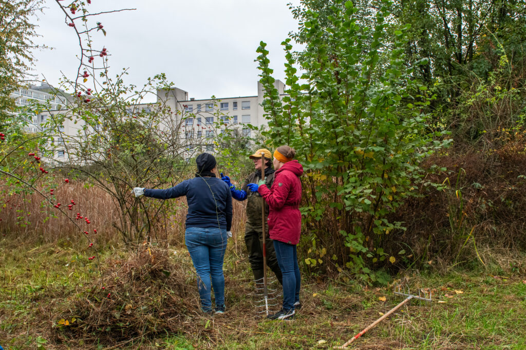 Pflegeeinsatz 30.BL-Naturschutztag - Biotop Am Stausee, 26.Okt.2024 (© Ricardo Olveira)