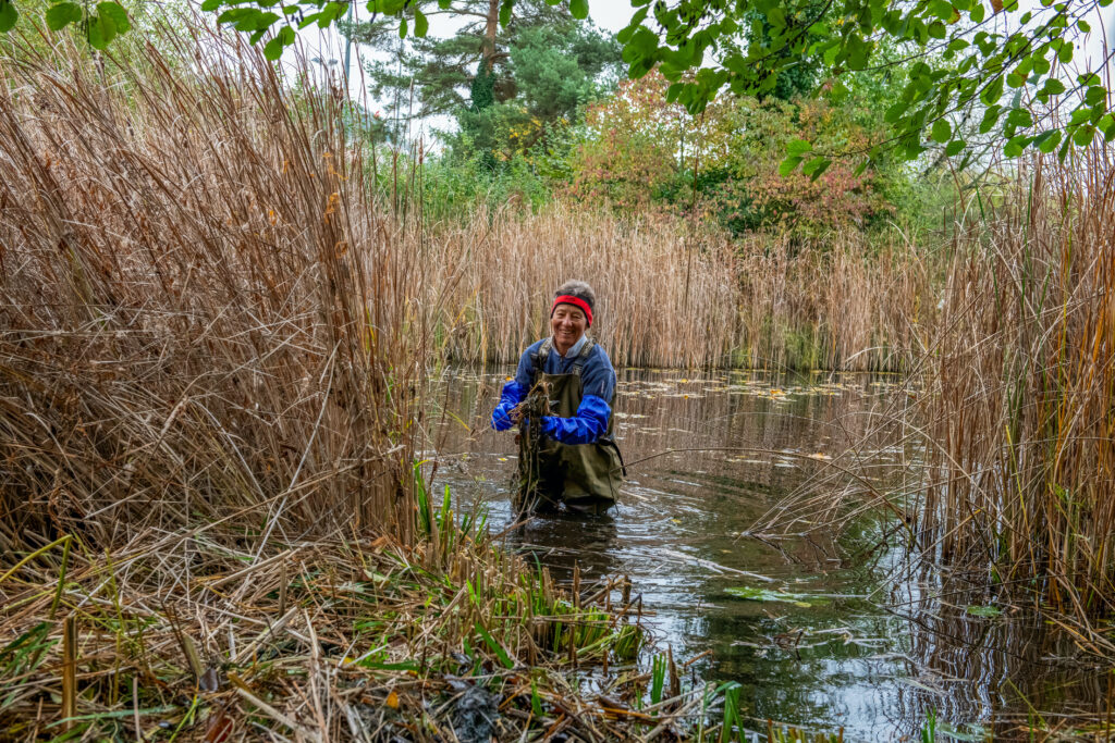 Pflegeeinsatz 30.BL-Naturschutztag - Biotop Am Stausee, 26.Okt.2024 (© Ricardo Olveira)