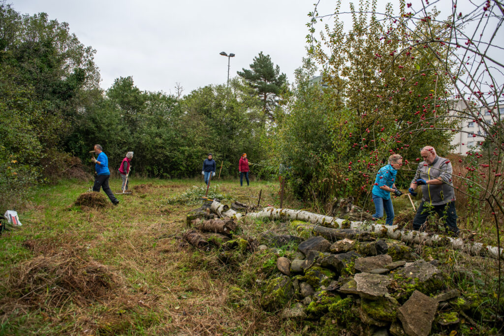 Pflegeeinsatz 30.BL-Naturschutztag - Biotop Am Stausee, 26.Okt.2024 (© Ricardo Olveira)