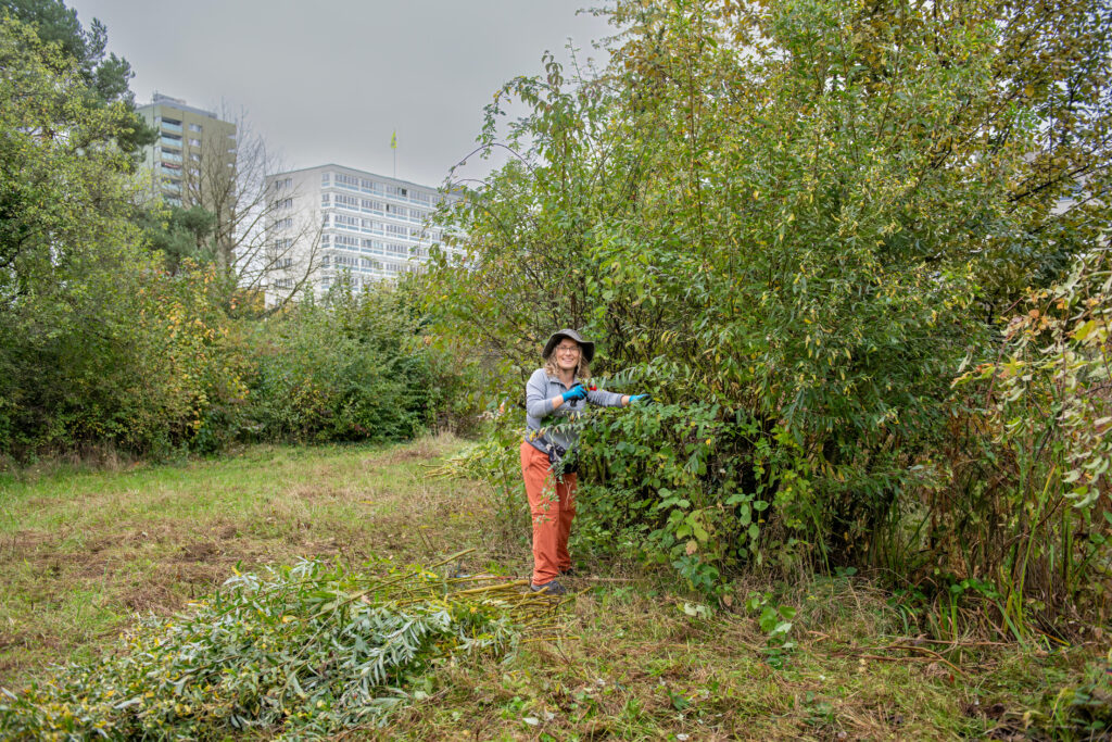 Pflegeeinsatz 30.BL-Naturschutztag - Biotop Am Stausee, 26.Okt.2024 (© Ricardo Olveira)