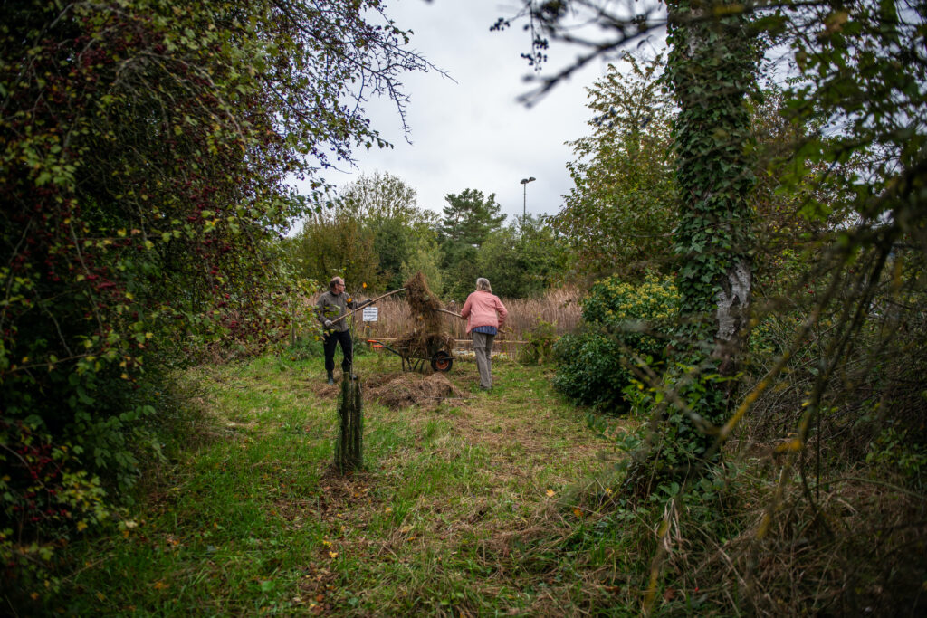 Pflegeeinsatz 30.BL-Naturschutztag - Biotop Am Stausee, 26.Okt.2024 (© Ricardo Olveira)