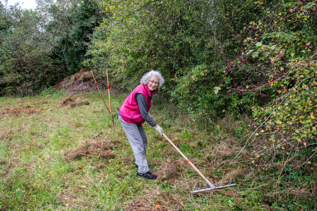 Pflegeeinsatz 30.BL-Naturschutztag - Biotop Am Stausee, 26.Okt.2024 (© Ricardo Olveira)