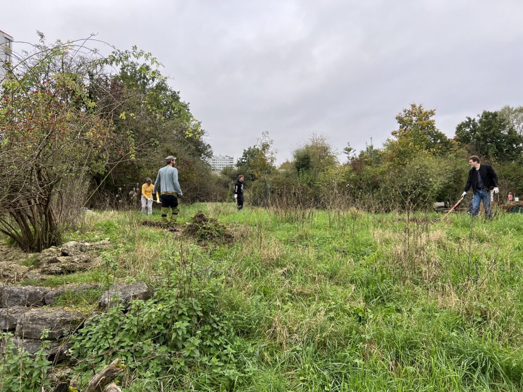 Pflegeeinsatz 30.BL-Naturschutztag - Biotop Am Stausee, 26.Okt.2024 (© NVVB)