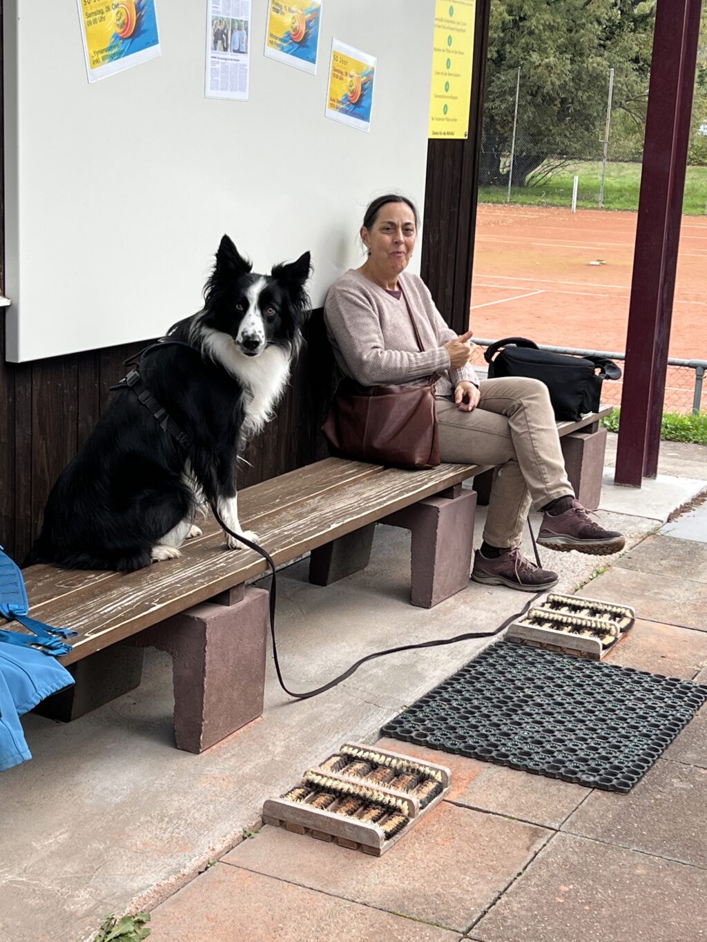 Pflegeeinsatz 30.BL-Naturschutztag - Biotop Am Stausee, 26.Okt.2024 (© NVVB)