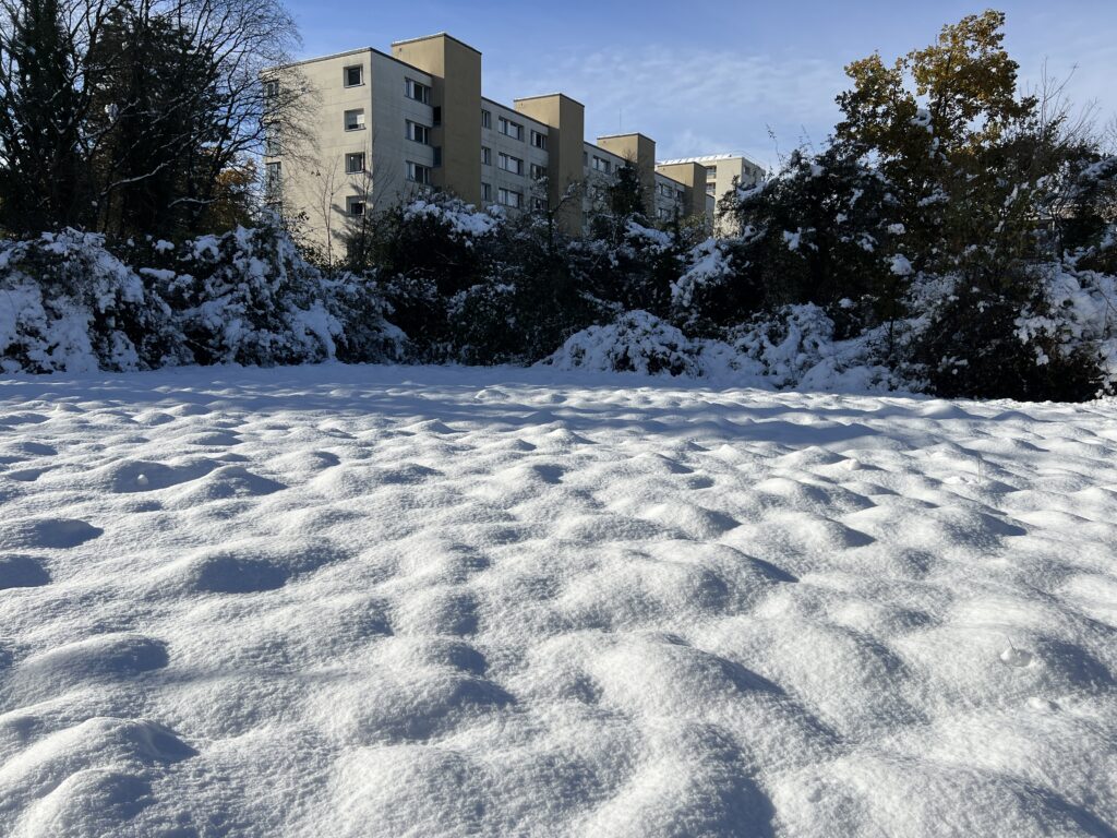 Schnee im Biotop Am Stausee, 22. Nov. 2024 © NVVB