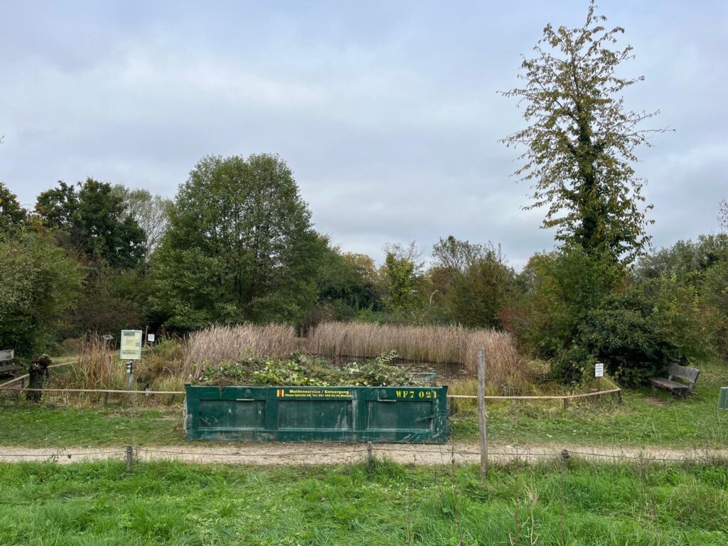 Pflegeeinsatz 30.BL-Naturschutztag - Biotop Am Stausee, 26.Okt.2024 (© Bernadette Kehl)